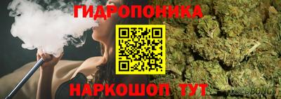 скорость Бердск
