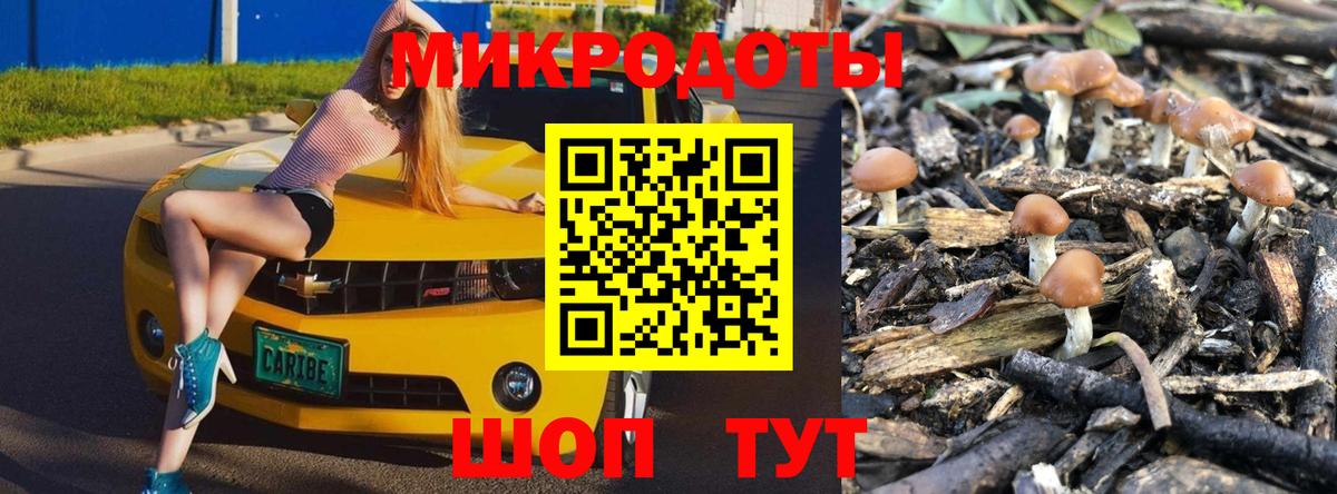 Псилоцибиновые грибы мицелий Зерноград